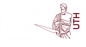 logo white